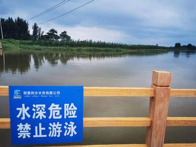 台风“巴威”实力“带货”，青岛各大水库喝了个水饱，两座水库超汛末蓄水位