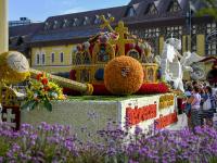 匈牙利：第51届德布勒森鲜花节
