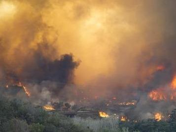 美国加利福尼亚州森林大火已造成至少6人死亡 6万余人被迫疏散