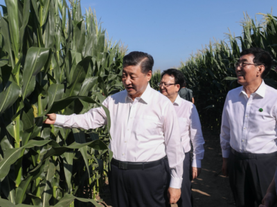 一枝一叶总关情丨让农民挑上“金扁担”
