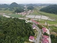 金刺梨生金  贫困村变身别墅村