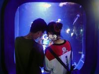 青岛水族馆：认识海洋从这里开始