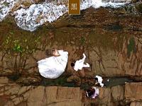  色彩诗意又多情 国色青岛真是太香了