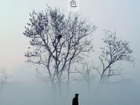  色彩诗意又多情 国色青岛真是太香了