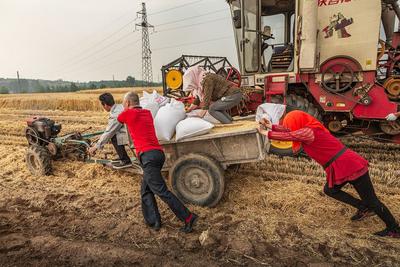 稻香秫熟暮秋天，阡陌纵横万亩连