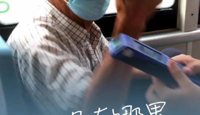 文明创建，成就别样青岛！中国文明网7篇文章点赞青岛