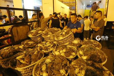 好吃到“横着走”的梭子蟹强势回归 你好这口吗