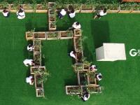 小小农夫 打卡校园里的“屋顶农场”