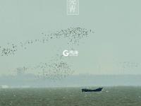 色彩诗意又多情 国色青岛真是太香了（2）