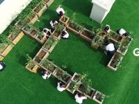 小小农夫 打卡校园里的“屋顶农场”