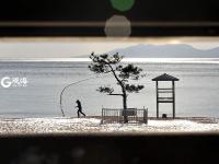 一浴的“树坚强” 陪你看过春夏与秋冬