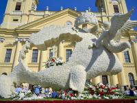 匈牙利：第51届德布勒森鲜花节