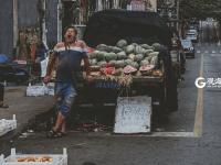 夏日踪迹 总有一个瞬间让你熟悉