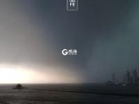 色彩诗意又多情 国色青岛真是太香了（2）