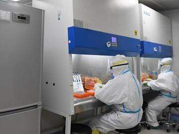 香港普及社区检测计划下月展开，内地核酸检测支援队已就位