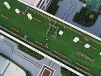 小小农夫 打卡校园里的“屋顶农场”