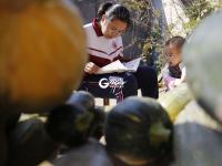 稻香秫熟暮秋天，阡陌纵横万亩连