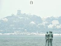  色彩诗意又多情 国色青岛真是太香了