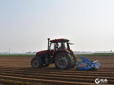 种地用上北斗导航！平度发展智能农机装备助力智慧农业发展