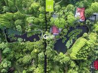 色彩诗意又多情 国色青岛真是太香了（2）