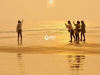 色彩诗意又多情 国色青岛真是太香了（2）