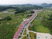 金刺梨生金  贫困村变身别墅村