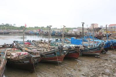 万事俱备，只欠“开海”！多个渔港实拍来了