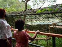 乌干达：动物园重新开放