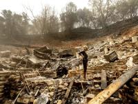 美国加利福尼亚州：山火过后