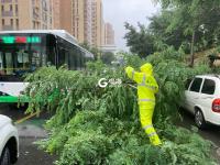 闻“汛”而动，风雨里他们在坚守