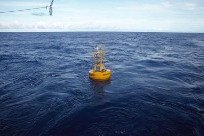 “青岛力量”助力，我国首套全国产化海气界面观测浮标成功布放