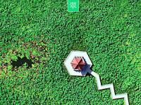  色彩诗意又多情 国色青岛真是太香了