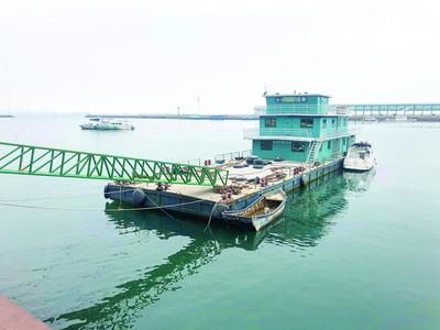 没手续没公示 就在海上建码头？