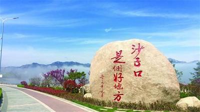 “三位一体”打造山海品质新城，沙子口街道下功夫推进创城工作