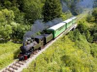 穿梭于森林的波兰老式蒸汽火车