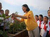 小小农夫 打卡校园里的“屋顶农场”