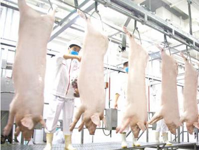 青岛市农业农村局印发规划，这五个区不再设置生猪定点屠宰企业