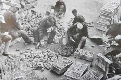 十四年血与火 铸就民族魂丨图说青岛抗战（1）