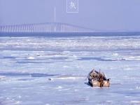  色彩诗意又多情 国色青岛真是太香了