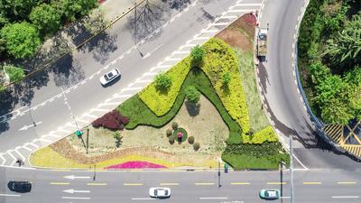 藏在路边的小情调：俯瞰城市绿化风景