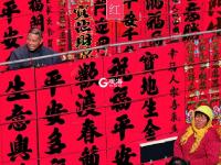 色彩诗意又多情 国色青岛真是太香了（2）