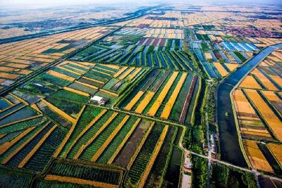 潍坊：昌潍沃野新秧遍 创新提升“三个模式”推动乡村振兴的实践