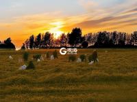 稻香秫熟暮秋天，阡陌纵横万亩连