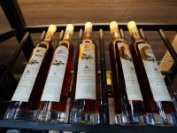 金刺梨生金  贫困村变身别墅村