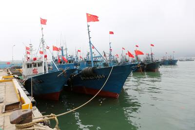 万事俱备，只欠“开海”！多个渔港实拍来了