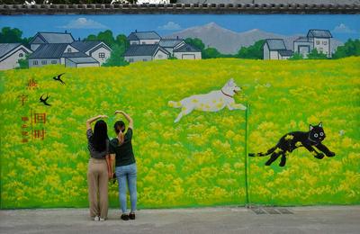 “龙城巷子”：新晋网红墙，一起打卡拍大片