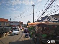 青岛现奇景！数百燕子站在电线上开大会