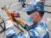 他们使出浑身解数 “实战范儿”十足