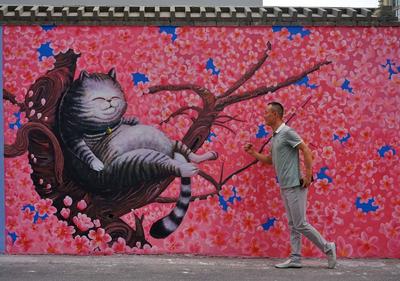 “龙城巷子”：新晋网红墙，一起打卡拍大片