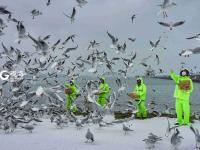 发现老城新魅力 | 观海镜赛大赏